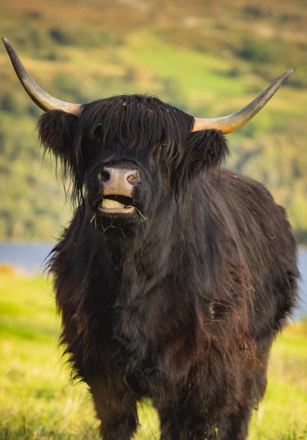 Loch Ness Cottage フォート・オーガスタス エクステリア 写真