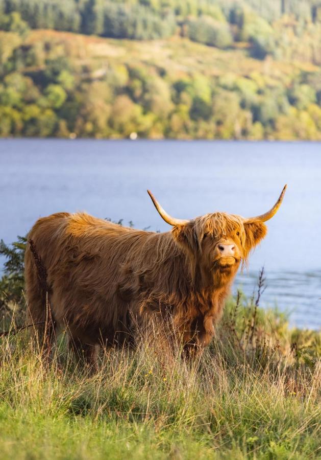 Loch Ness Cottage フォート・オーガスタス エクステリア 写真